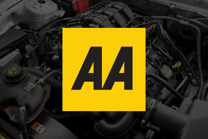 AA Inspection